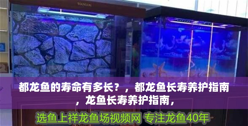 都龍魚的壽命有多長？，都龍魚長壽養護指南，龍魚長壽養護指南， 都龍魚的壽命有多長？，都龍魚長壽養護指南，龍魚長壽養護指南， 龍魚百科
