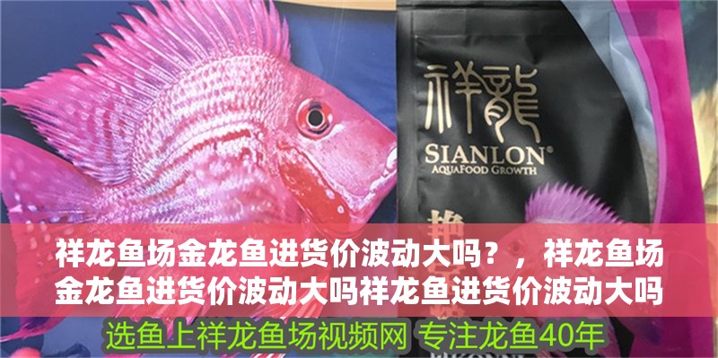 祥龍魚場金龍魚進貨價波動大嗎？，祥龍魚場金龍魚進貨價波動大嗎祥龍魚進貨價波動大嗎 祥龍魚場金龍魚進貨價波動大嗎？，祥龍魚場金龍魚進貨價波動大嗎祥龍魚進貨價波動大嗎 龍魚百科
