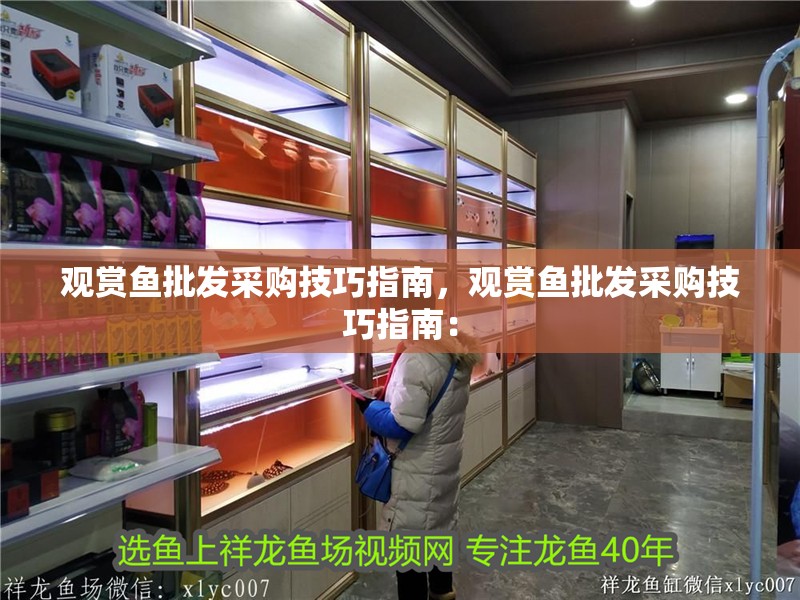 觀賞魚批發采購技巧指南，觀賞魚批發采購技巧指南： 觀賞魚批發采購技巧指南，觀賞魚批發采購技巧指南： 龍魚百科