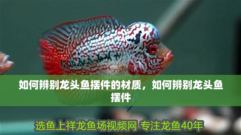 如何辨別龍頭魚擺件的材質，如何辨別龍頭魚擺件 如何辨別龍頭魚擺件的材質，如何辨別龍頭魚擺件 龍魚百科
