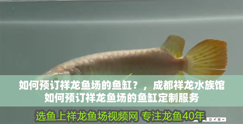 魚缸過濾器選購指南:自制魚缸過濾器魚缸上置過濾器對于養魚愛好者的必備知識 如何預訂祥龍魚場的魚缸?,成都祥龍水族館如何預訂祥龍魚場的魚缸定制服務 龍魚百科 如何預訂祥龍魚場的魚缸?,成都祥龍水族館如何預訂祥龍魚場的魚缸定制服務 如何預訂祥龍魚場的魚缸?,成都祥龍水族館如何預訂祥龍魚場的魚缸定制服務 龍魚百科