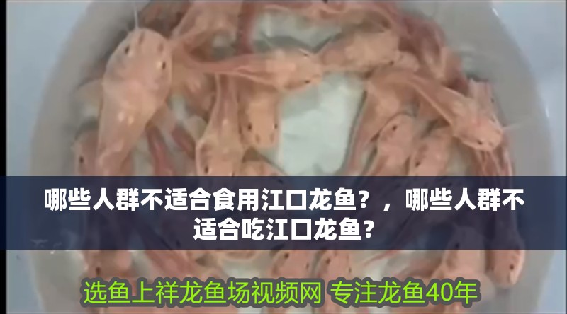 哪些人群不適合食用江口龍魚？，哪些人群不適合吃江口龍魚？