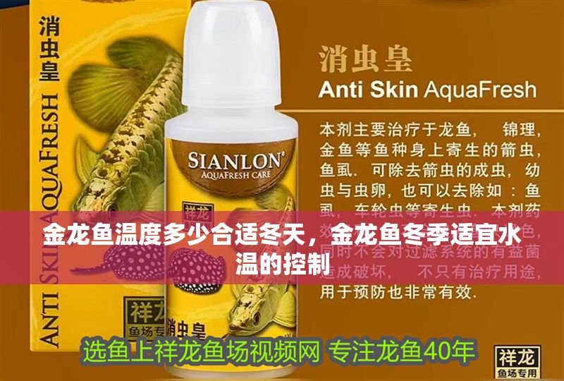 金龍魚溫度多少合適冬天，金龍魚冬季適宜水溫的控制