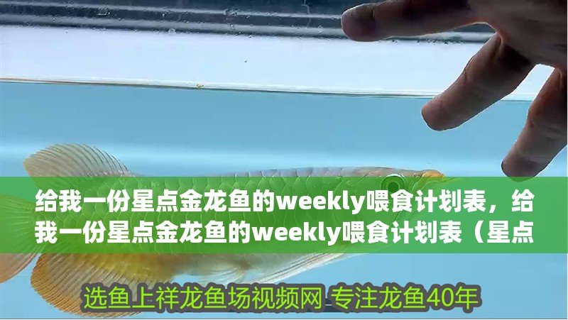 給我一份星點金龍魚的weekly喂食計劃表，給我一份星點金龍魚的weekly喂食計劃表（星點龍魚）