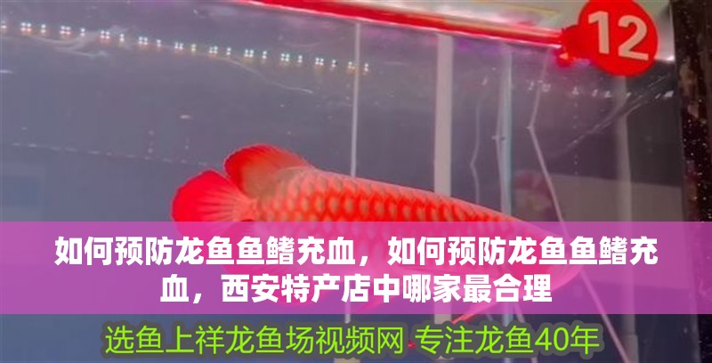 如何預防龍魚魚鰭充血，如何預防龍魚魚鰭充血，<strong><mark>西安</mark></strong>特產店中哪家最合理