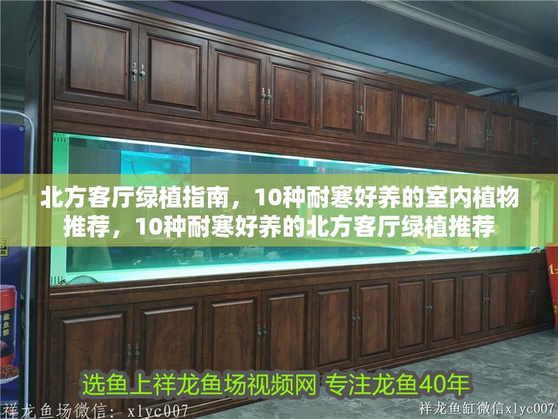 北方客廳綠植指南，10種耐寒好養(yǎng)的室內(nèi)植物推薦，10種耐寒好養(yǎng)的北方客廳綠植推薦