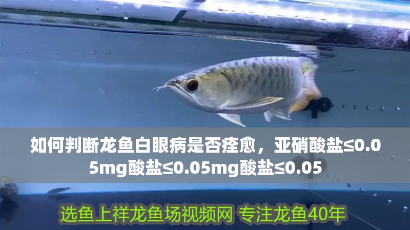 如何判斷龍魚白眼病是否痊愈，亞硝酸鹽≤0.05mg酸鹽≤0.05mg酸鹽≤0.05