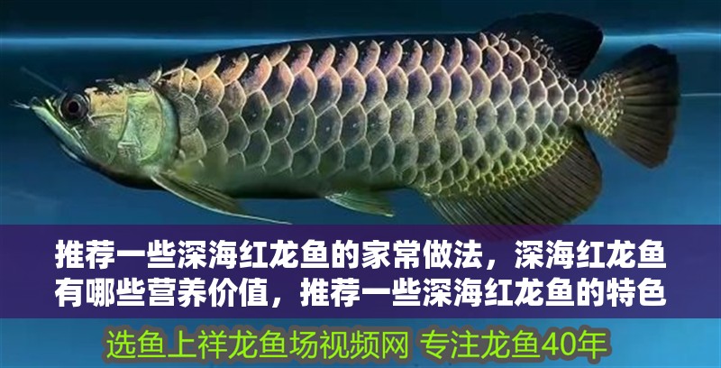 推薦一些深海紅龍魚的家常做法，深海紅龍魚有哪些營養價值，推薦一些深海紅龍魚的特色做法