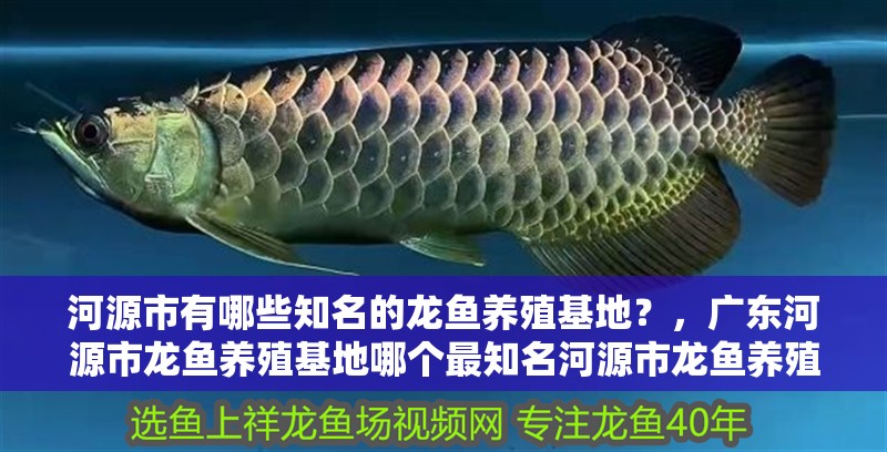 <strong><mark>河源</mark></strong>市有哪些知名的龍魚養殖基地？，廣東<strong><mark>河源</mark></strong>市龍魚養殖基地哪個最知名<strong><mark>河源</mark></strong>市龍魚養殖基地