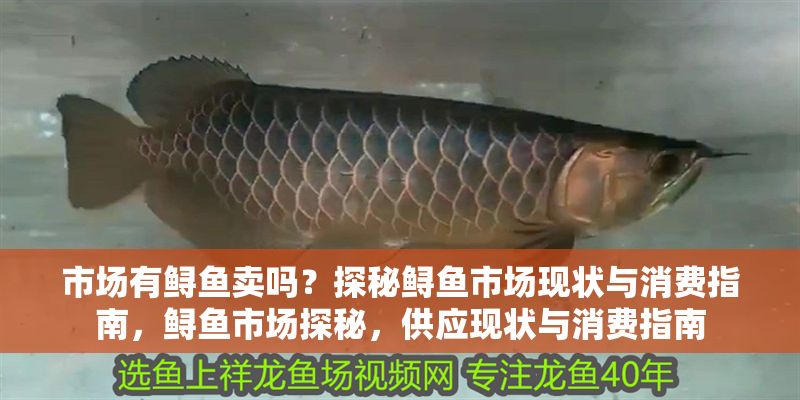 市場有鱘魚賣嗎？探秘鱘魚市場現狀與消費指南，鱘魚市場探秘，供應現狀與消費指南