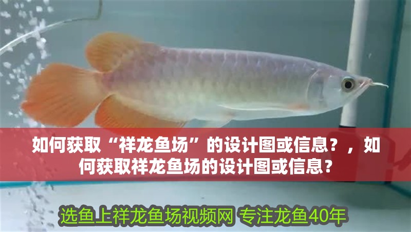 如何獲取“祥龍魚場”的設(shè)計(jì)圖或信息？，如何獲取祥龍魚場的設(shè)計(jì)圖或信息？