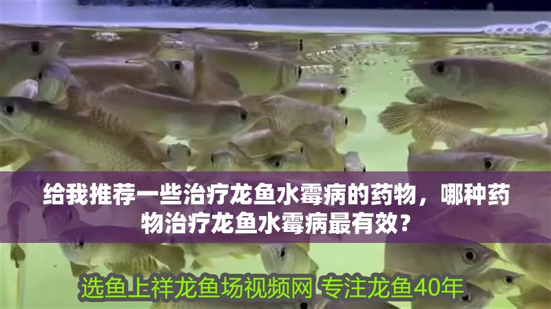 給我推薦一些治療龍魚水霉病的藥物，哪種藥物治療龍魚水霉病最有效？