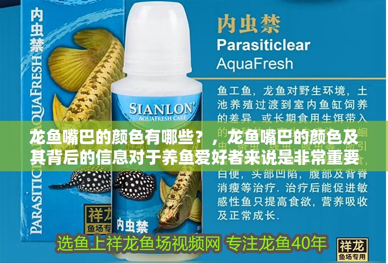 我的虎魚真菌感染了要怎么處理 龍魚嘴巴的顏色有哪些?,龍魚嘴巴的顏色及其背后的信息對于養魚愛好者來說是非常重要的 龍魚百科 龍魚嘴巴的顏色有哪些?,龍魚嘴巴的顏色及其背后的信息對于養魚愛好者來說是非常重要的 龍魚嘴巴的顏色有哪些?,龍魚嘴巴的顏色及其背后的信息對于養魚愛好者來說是非常重要的 龍魚百科