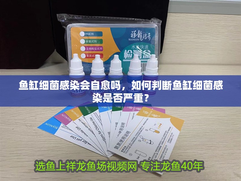 魚缸細(xì)菌感染會自愈嗎，如何判斷魚缸細(xì)菌感染是否嚴(yán)重？