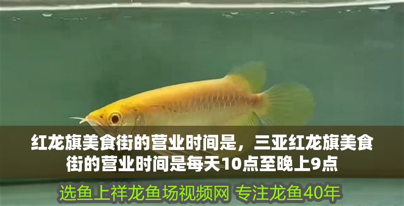 紅龍旗美食街的營業(yè)時間是，三亞紅龍旗美食街的營業(yè)時間是每天10點至晚上9點