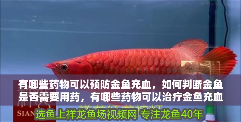有哪些藥物可以預防金魚充血，如何判斷金魚是否需要用藥，有哪些藥物可以治療金魚充血
