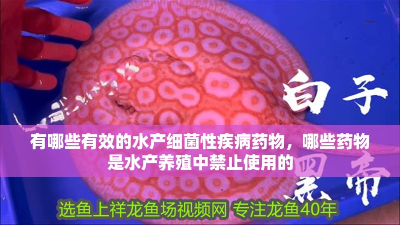 有哪些有效的水產細菌性疾病藥物，哪些藥物是水產養殖中禁止使用的