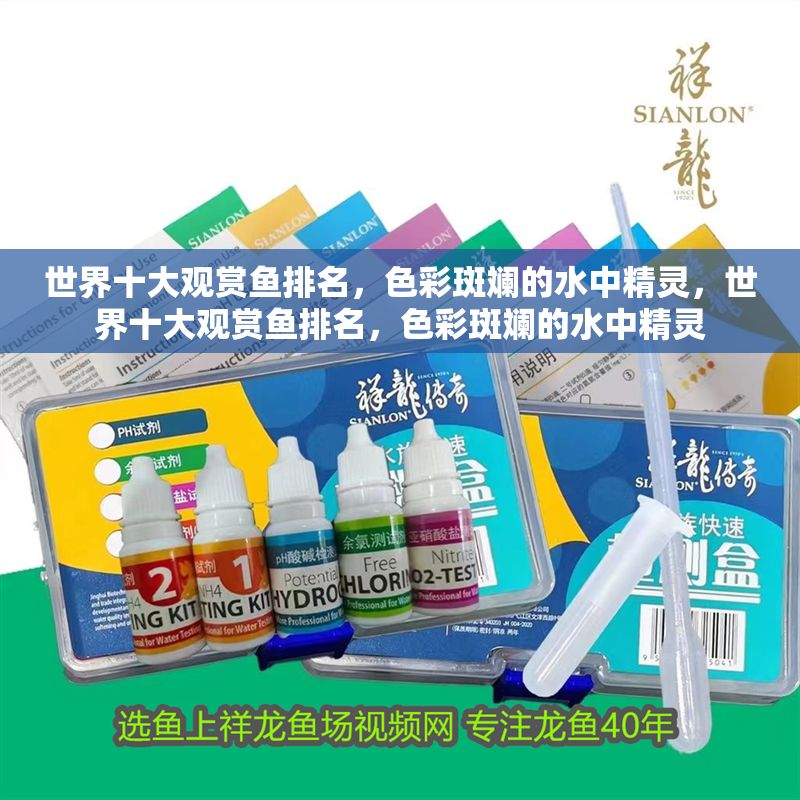 世界十大觀賞魚排名，色彩斑斕的水中精靈，世界十大觀賞魚排名，色彩斑斕的水中精靈