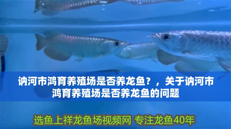 訥河市鴻育養殖場是否養龍魚？，關于訥河市鴻育養殖場是否養龍魚的問題 訥河市鴻育養殖場是否養龍魚？，關于訥河市鴻育養殖場是否養龍魚的問題 龍魚百科