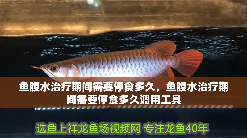 魚腹水治療期間需要停食多久，魚腹水治療期間需要停食多久調用工具