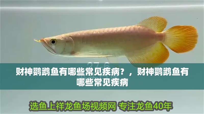 財神鸚鵡魚有哪些常見疾病？，財神鸚鵡魚有哪些常見疾病