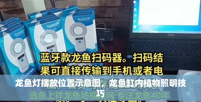 龍魚燈擺放位置示意圖，龍魚缸內(nèi)植物照明技巧