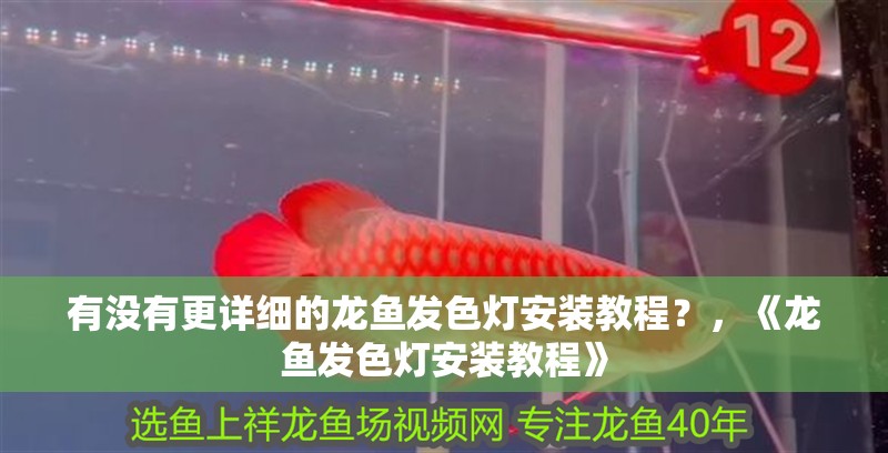 魚缸過濾器選購指南:自制魚缸過濾器魚缸上置過濾器對于養魚愛好者的必備知識 有沒有更詳細的龍魚發色燈安裝教程?,《龍魚發色燈安裝教程》 龍魚百科 有沒有更詳細的龍魚發色燈安裝教程?,《龍魚發色燈安裝教程》 有沒有更詳細的龍魚發色燈安裝教程?,《龍魚發色燈安裝教程》 龍魚百科