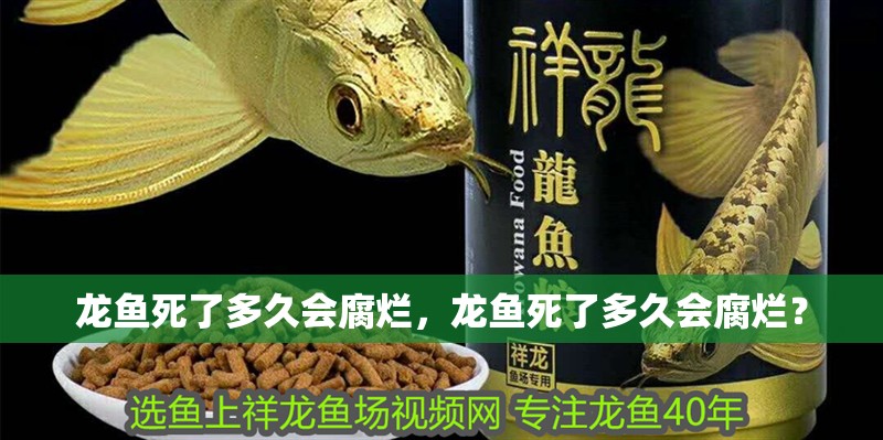 龍魚死了多久會腐爛，龍魚死了多久會腐爛？