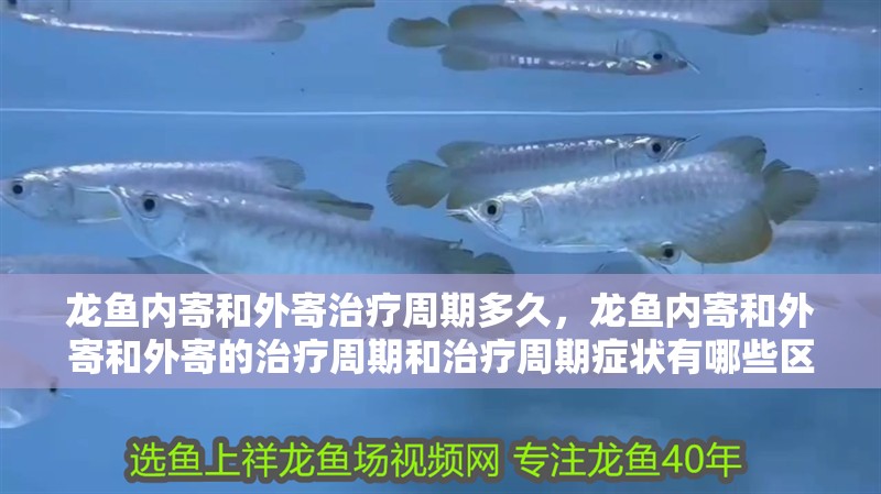 龍魚內寄和外寄治療周期多久，龍魚內寄和外寄和外寄的治療周期和治療周期癥狀有哪些區別