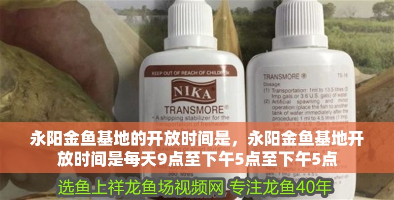 永陽金魚基地的開放時間是，永陽金魚基地開放時間是每天9點至下午5點至下午5點 永陽金魚基地的開放時間是，永陽金魚基地開放時間是每天9點至下午5點至下午5點 龍魚百科