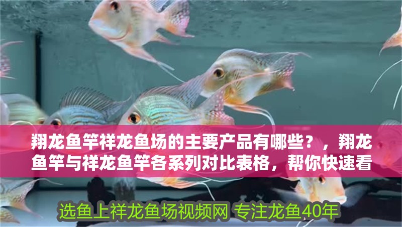 翔龍魚竿祥龍魚場的主要產品有哪些？，翔龍魚竿與祥龍魚竿各系列對比表格，幫你快速看清參數差異