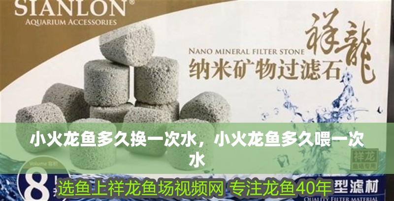 小火龍魚多久換一次水，小火龍魚多久喂一次水