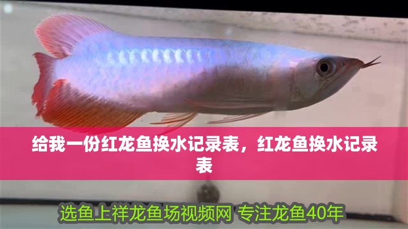 給我一份紅龍魚換水記錄表，紅龍魚換水記錄表 給我一份紅龍魚換水記錄表，紅龍魚換水記錄表 龍魚百科