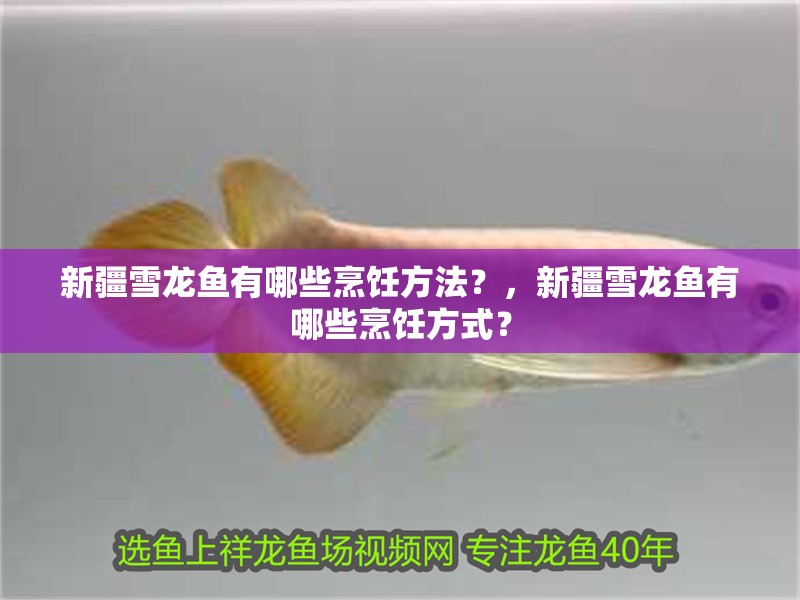 新疆雪龍魚有哪些烹飪方法？，新疆雪龍魚有哪些烹飪方式？