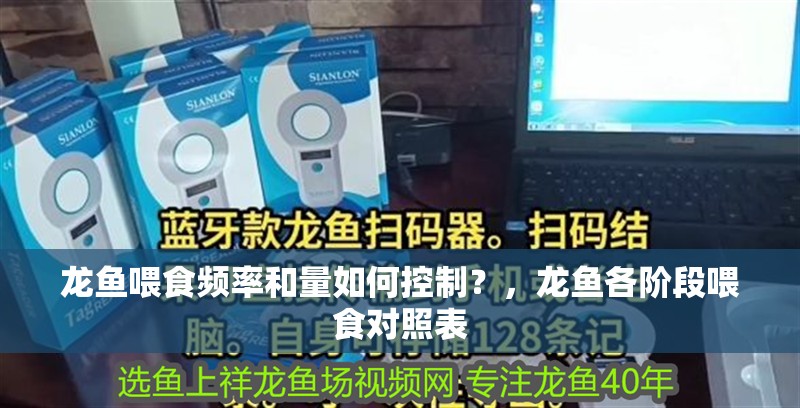 龍魚喂食頻率和量如何控制？，龍魚各階段喂食對照表