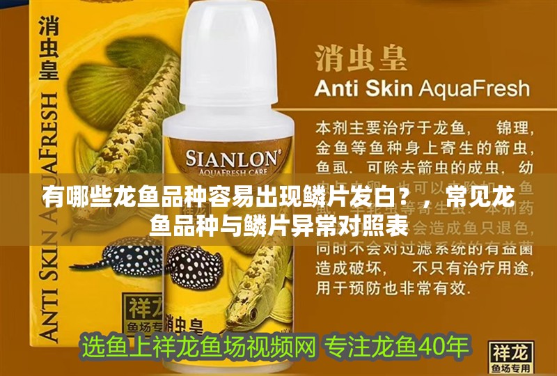 有哪些龍魚品種容易出現鱗片發白？，常見龍魚品種與鱗片異常對照表 有哪些龍魚品種容易出現鱗片發白？，常見龍魚品種與鱗片異常對照表 龍魚百科