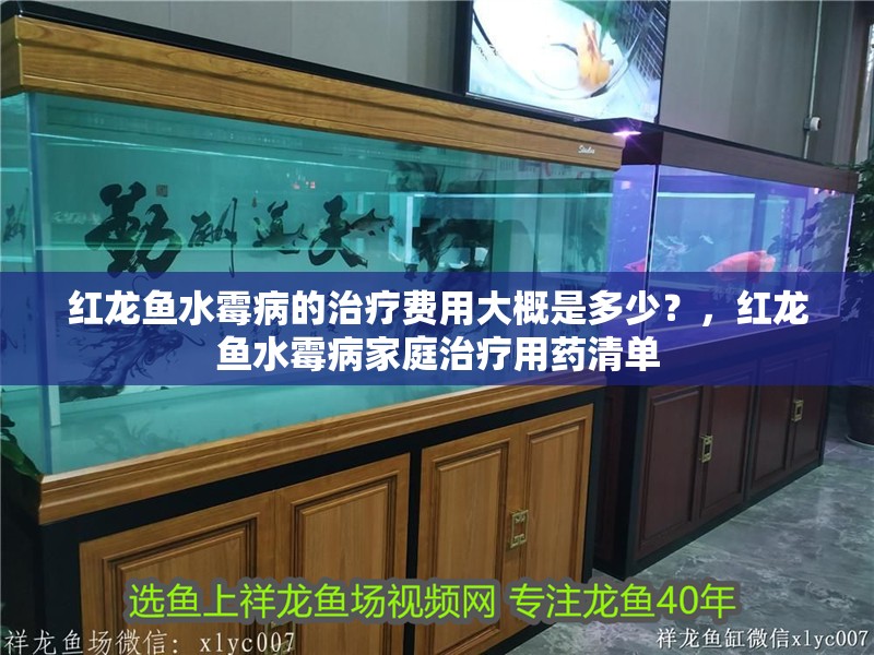 紅龍魚水霉病的治療費用大概是多少？，紅龍魚水霉病家庭治療用藥清單