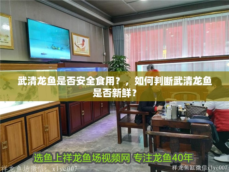 武清龍魚是否安全食用？，如何判斷武清龍魚是否新鮮？