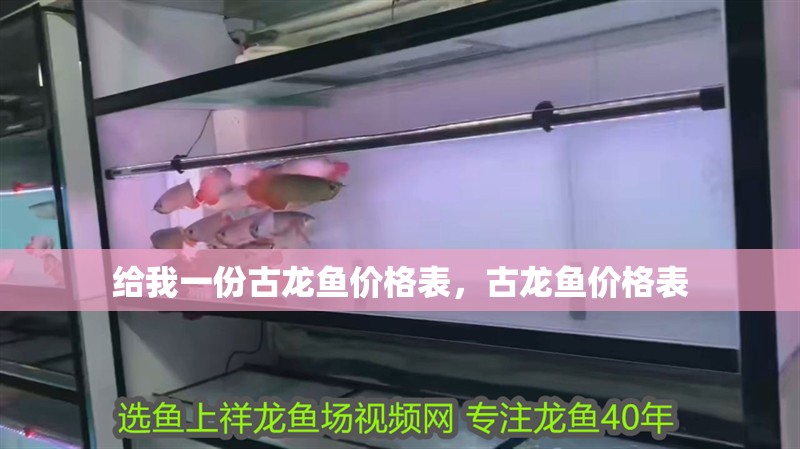 給我一份古龍魚價格表，古龍魚價格表