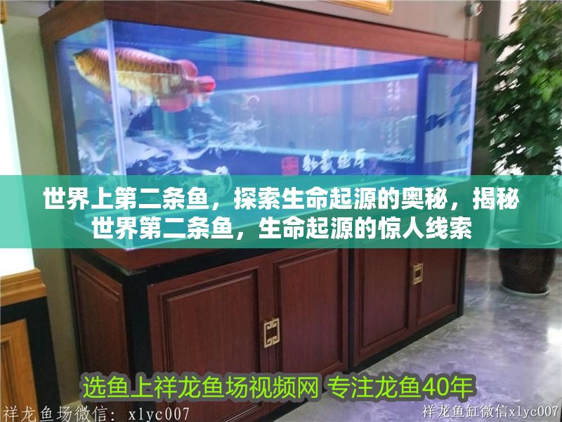 世界上第二條魚，探索生命起源的奧秘，揭秘世界第二條魚，生命起源的驚人線索 世界上第二條魚，探索生命起源的奧秘，揭秘世界第二條魚，生命起源的驚人線索 龍魚百科 第1張