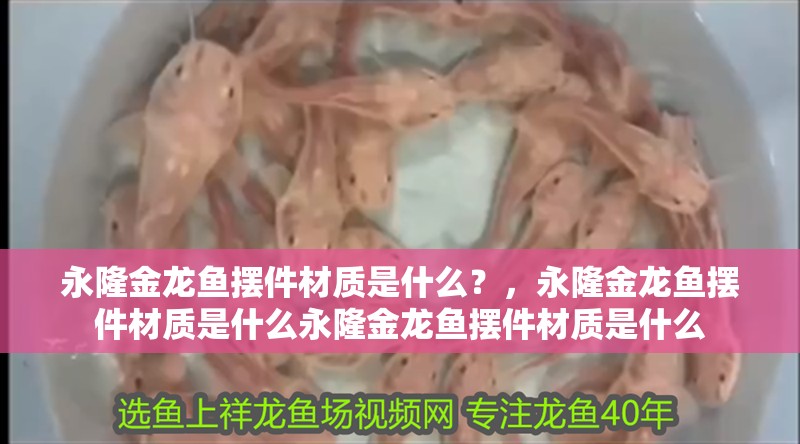 永隆金龍魚擺件材質是什么？，永隆金龍魚擺件材質是什么永隆金龍魚擺件材質是什么 永隆金龍魚擺件材質是什么？，永隆金龍魚擺件材質是什么永隆金龍魚擺件材質是什么 龍魚百科