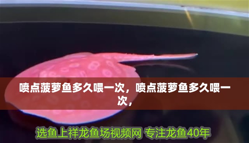 噴點菠蘿魚多久喂一次，噴點菠蘿魚多久喂一次， 噴點菠蘿魚多久喂一次，噴點菠蘿魚多久喂一次， 龍魚百科