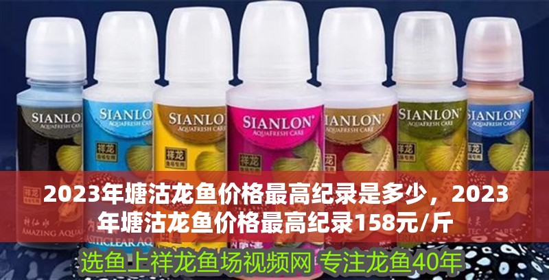 2023年塘沽龍魚價格最高紀錄是多少，2023年塘沽龍魚價格最高紀錄158元/斤