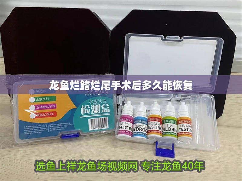 龍魚爛鰭爛尾手術后多久能恢復