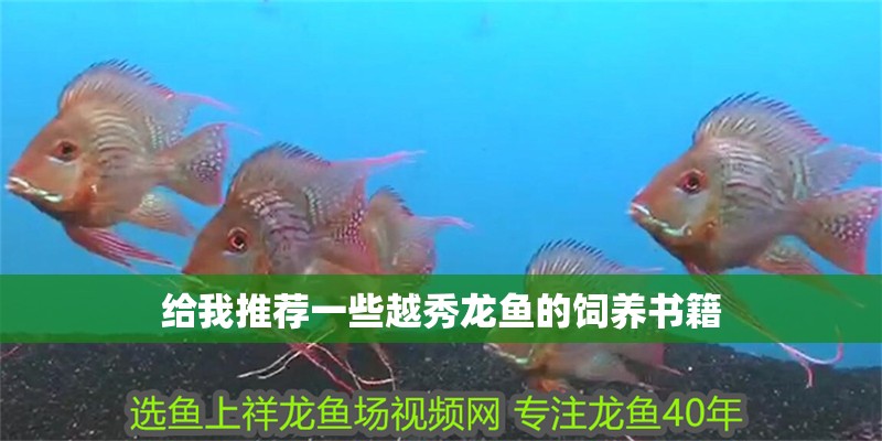 給我推薦一些越秀龍魚的飼養(yǎng)書籍 給我推薦一些越秀龍魚的飼養(yǎng)書籍 龍魚百科