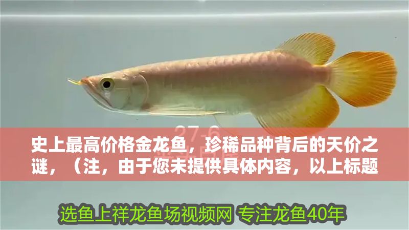 史上最高價格金龍魚，珍稀品種背后的天價之謎，（注，由于您未提供具體內(nèi)容，以上標題是基于金龍魚珍稀品種高價這一常見主題創(chuàng)作的示例。若您能提供實際內(nèi)容，我將為您生成更精準匹配的標題。）