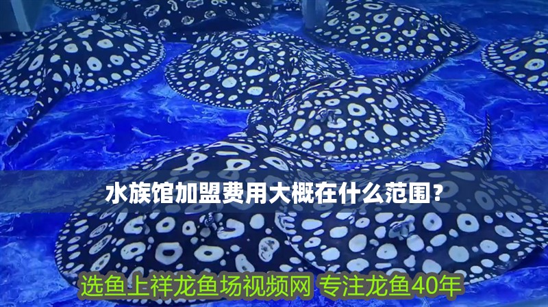 水族館加盟費用大概在什么范圍？ 水族館加盟費用大概在什么范圍？ 龍魚百科