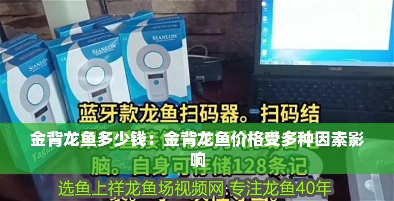 金背龍魚多少錢:金背龍魚價格受多種因素影響 龍魚百科 第2張 金背龍魚多少錢:金背龍魚價格受多種因素影響 金背龍魚多少錢:金背龍魚價格受多種因素影響 龍魚百科 第2張