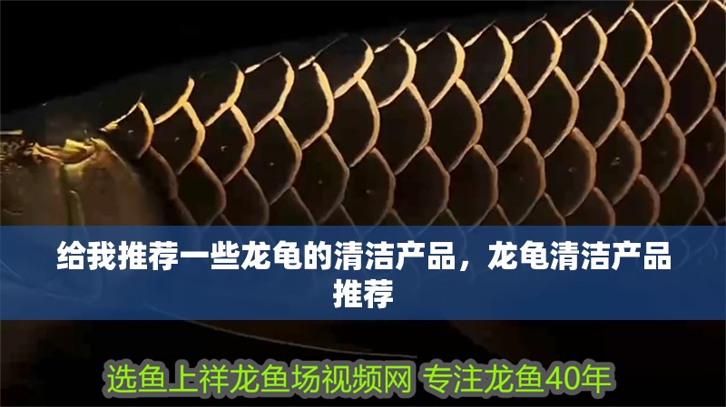給我推薦一些龍龜的清潔產品，龍龜清潔產品推薦