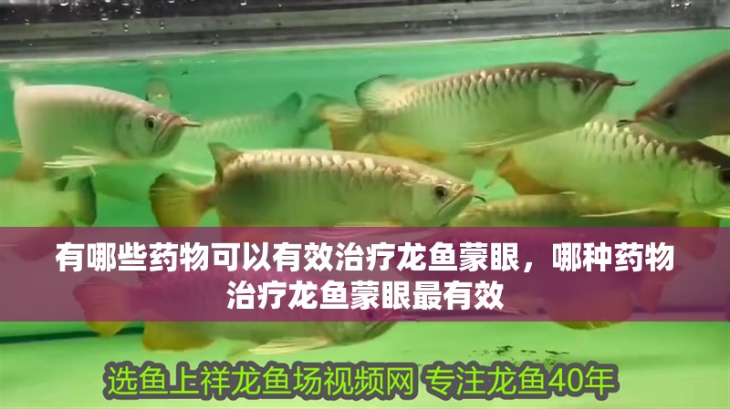 有哪些藥物可以有效治療龍魚蒙眼，哪種藥物治療龍魚蒙眼最有效
